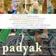 photo du film Padyak