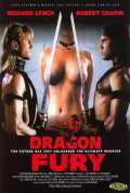 voir la fiche complète du film : Dragon Fury