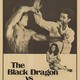 photo du film Black Dragon Vs. the Yellow Tiger