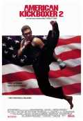voir la fiche complète du film : American Kickboxer 2