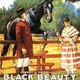 photo du film Black Beauty