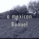 photo du film Un Buñuel mexican
