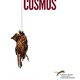 photo du film Cosmos