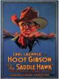 voir la fiche complète du film : The Saddle Hawk