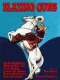 voir la fiche complète du film : Blazing Guns