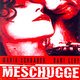 photo du film Meschugge