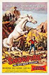 Snowfire