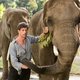 photo du film La Femme du gardien de zoo