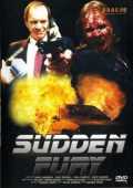 voir la fiche complète du film : Sudden Fury
