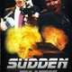 photo du film Sudden Fury