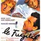 photo du film Le fugitif