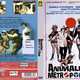 photo du film Animali metropolitani