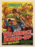 voir la fiche complète du film : Wild Horse Roundup