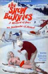 voir la fiche complète du film : The Snow Bunnies
