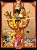 voir la fiche complète du film : Enter the Black Dragon