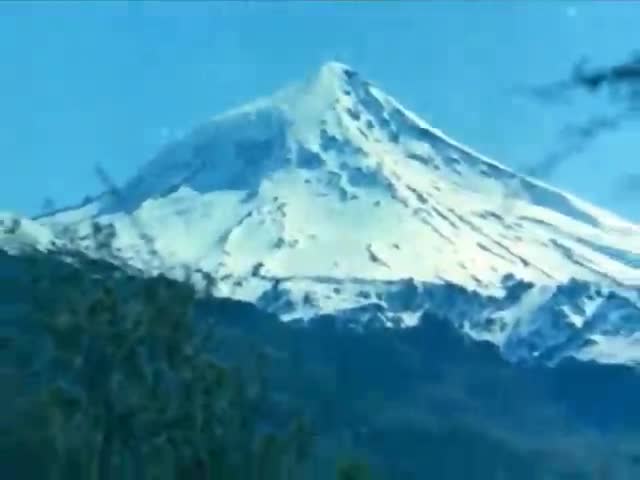 Extrait vidéo du film  Insaciable