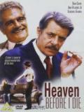 voir la fiche complète du film : Heaven Before I Die