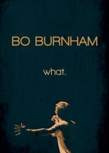 Bo Burnham : What.