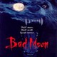 photo du film Bad Moon