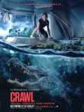 voir la fiche complète du film : Crawl
