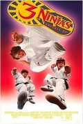 voir la fiche complète du film : 3 Ninjas Knuckle Up