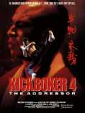 voir la fiche complète du film : Kickboxer 4