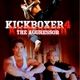 photo du film Kickboxer 4