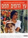 voir la fiche complète du film : Under the Domim Tree