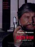 voir la fiche complète du film : Death wish V : the face of death