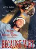 voir la fiche complète du film : Because Why