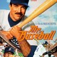 photo du film Mr. Baseball