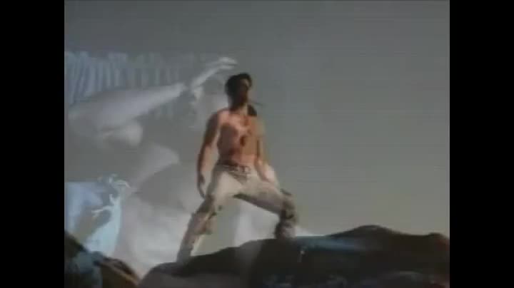 Un extrait du film  Desert Kickboxer