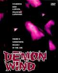 voir la fiche complète du film : Demon Wind