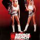 photo du film Savage Beach