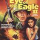 photo du film Eye of the Eagle 2 : Inside the Enemy