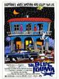 voir la fiche complète du film : The Blue Iguana