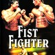 photo du film Fist Fighter