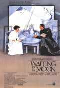 Waiting for the moon