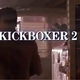 photo du film Kickboxer 2 : Le Successeur