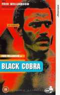 voir la fiche complète du film : Cobra nero