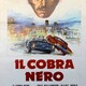 photo du film The Black Cobra