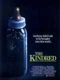 voir la fiche complète du film : The Kindred