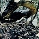 photo du film Kyôryuu : Kaichô no densetsu