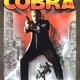 photo du film Il Giorno del Cobra