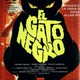 photo du film Il Gatto nero