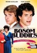 voir la fiche complète du film : Bosom Buddies