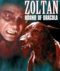 voir la fiche complète du film : Zoltan, le chien sanglant de Dracula