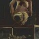 photo du film La dernière orgie du IIIème Reich