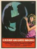 voir la fiche complète du film : Cazar un gato negro