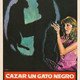 photo du film Cazar un gato negro